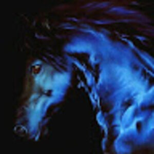 Meet your Posher, Leonel